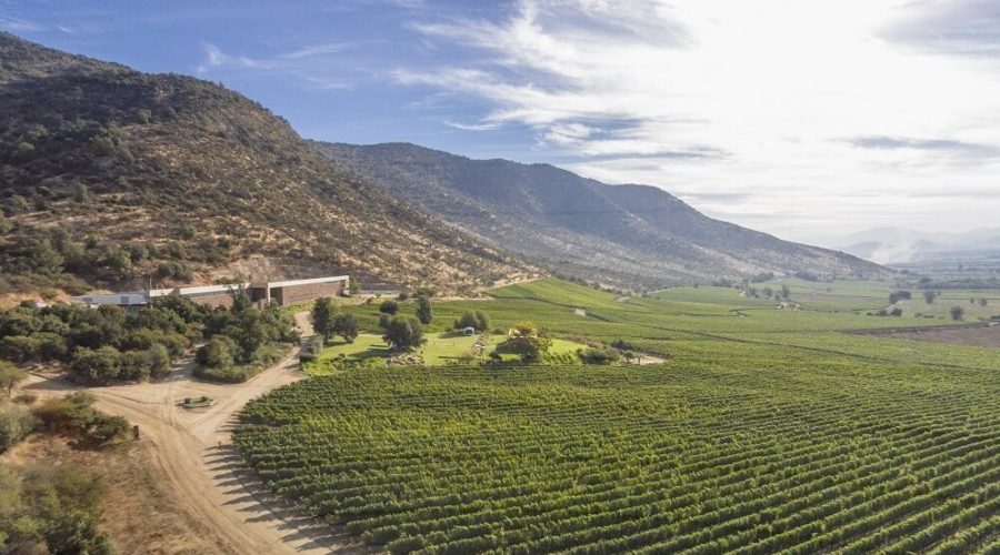 Why Chile is So Hot — 6 Chilean Wines (and 2 others) You Must Buy