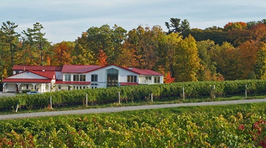 Niagara’s Best Wineries to Visit — No. 4 Kacaba Vineyards