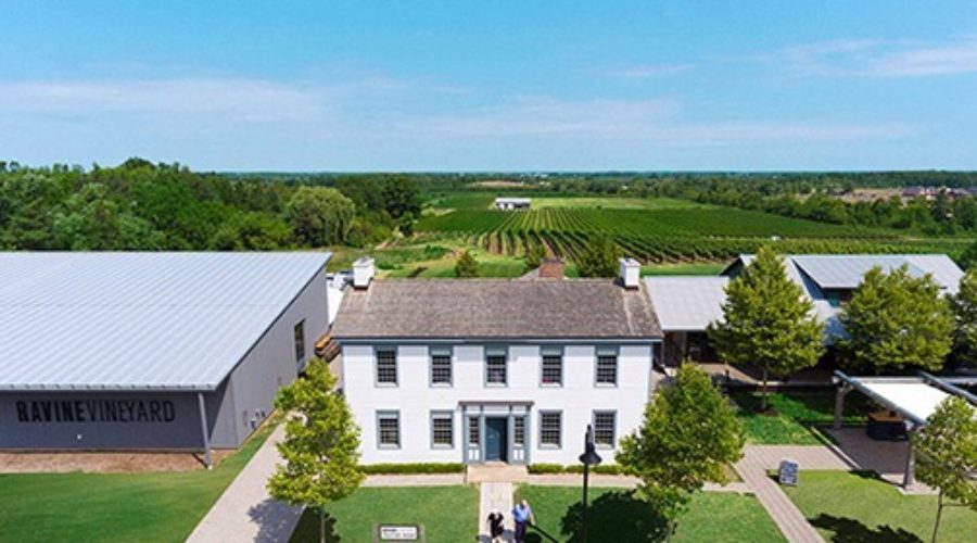 Niagara’s Top 10 Wineries to Visit — #8 Ravine Vineyard