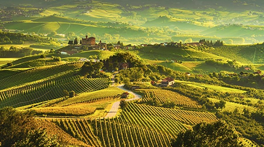 Three Under-$20 Italian Wines Worth Meeting