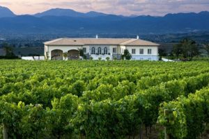 FALCON CREST: Lungarotti’s Montefalco Rosso